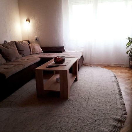Potkrovlje Vrsac Extérieur photo